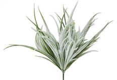 BLADE GRASS BUSH X5 SNOW 18"