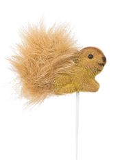 SQUIRREL 3" ON PICK 6/PK