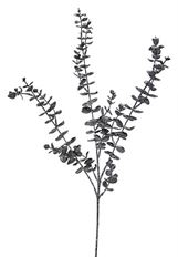 EUCALYPTUS SPRAY GRAY WASHED