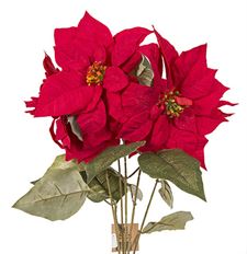 POINSETTIA BUSH 22" VELVET RED