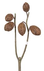 POD SPRAY DRIED 10" BROWN