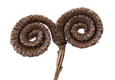 RAM'S HORN HEADS POLISHED 6/PK