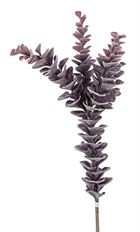 EUCALYPTUS SPRAY FLOCK 25" BURGUNDY