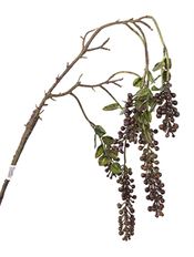 BERRY HANGING X6 BURGUNDY 26"