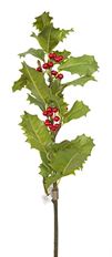 HOLLY BRANCH SPIKE 24" RED