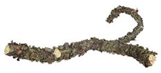 BRANCH W/LICHEN 21&quot; BROWN