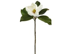 MAGNOLIA OPEN 24" TWO TONE WHITE