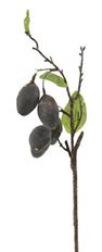OLIVE BRANCH 18" BLACK