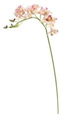 ORCHID DENDROBIUM X9 29.5" LAV/GRN