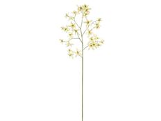ORCHID ONCIDIUM 40" WHITE