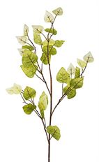 BRANCH POTATO LEAF 32&quot; GREEN