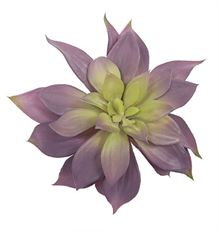 SUCCULENT BUTTERLFY 10" PUR/GR