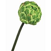 ARTICHOKE STALK 20" GREEN