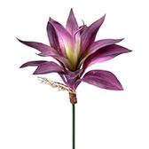 SUCCULENT AGAVE 9" PUR/GR