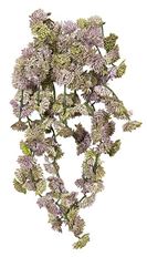 SUCCULENT HANGING CLOVER 12" GR/LV