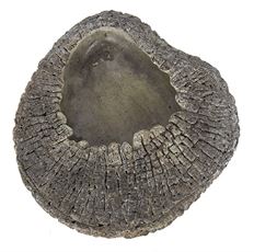 CEMENT WALL PLANTER  9"X8" BROWN