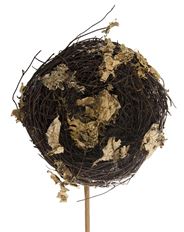 LICHEN NEST PICK 8X5