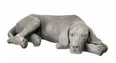 CEMENT DOG NAPPING 22"