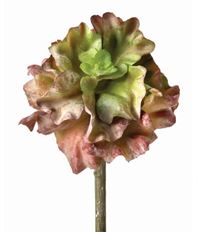 KALE FRESH TOUCH 3.5" BUR/GR