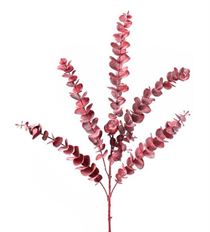 EUCALYPTUS SPRAY X5 35" GY/RD