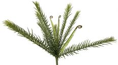 FERN BUSH 18" GREEN W/12 FRONDS
