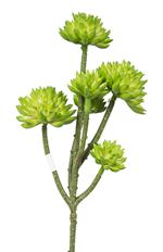 SUCCULENT SPRAY 17" GREEN X6