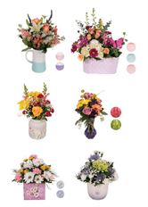 MOTHER'S DAY CASE PACK