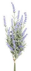 LAVENDER BUNDLE 17" X7