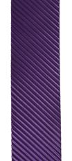 POLLY 09X10Y PURPLE RIBBON