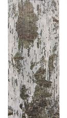 BIRCH TRU-LIFE 4" NATURAL 50YD