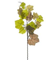 GRAPE LEAF SPRAY 36" GREEN