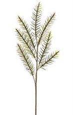 PINE BERRY SPRAY 45" GREEN