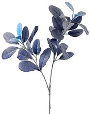 LAMBS EAR SPRAY 24" BLUE FROST