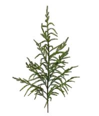 NORFOLK PINE SPRAY 38" GREEN