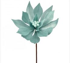 POINSETTIA VELVET 20" AQUA
