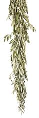 GARLAND OLIVE LEAF