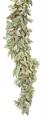 GARLAND SEEDED EUCALYPTUS
