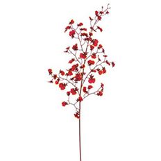 ORCH. DANC. ONCIDIUM 36.5" BUR