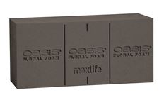 OASIS FOAM STANDARD MIDNIGHT 24/CS