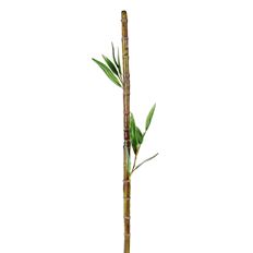 BAMBOO 27" LEAVES GREEN
