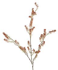 SPIREA SEEDED BRANCH X3 42&quot;