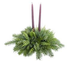 LARGE STARTER DISH ARR