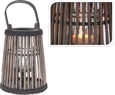 LANTERN WILLOW