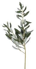 OLIVE LEAF 33" BLACK/GREEN