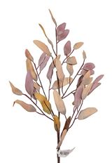 EUCALYPTUS LONG LEAF SPRAY 36"