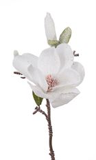 MAGNOLIA 14" SNOWY 6/PK