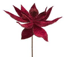 POINSETTIA STEM VELVET 22" CRANBER