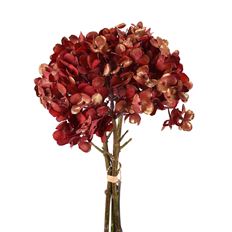 HYDRANGEA X3  13" GILDED RED