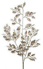 JUNIPER SPRAY 28" GLITTERED GOLD