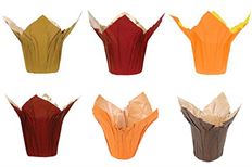 SPEED COVER 6" FALL COLORS 25/PK